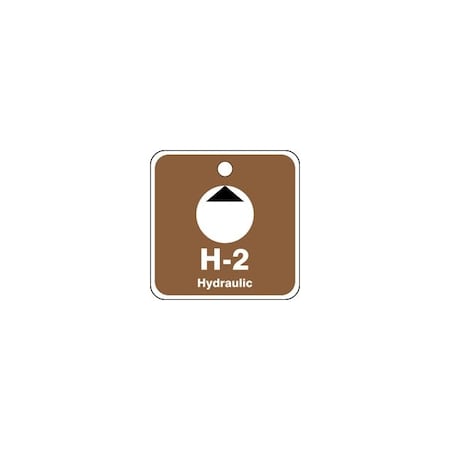 Accuform Energy Source ID Tag, H-2 HYDRAULIC, 2.5in x 2.5in, Plastic, 5PK TDK502VPM